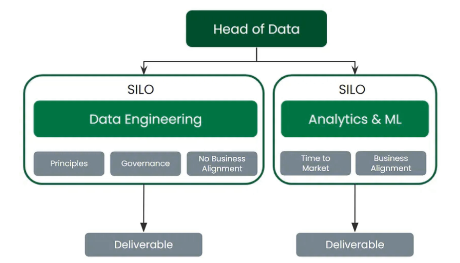 Shadow Data Team Organizational Model