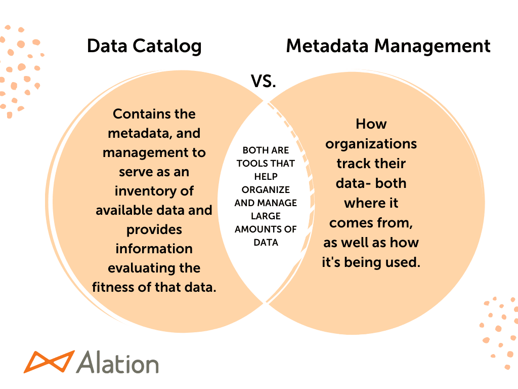 metadata